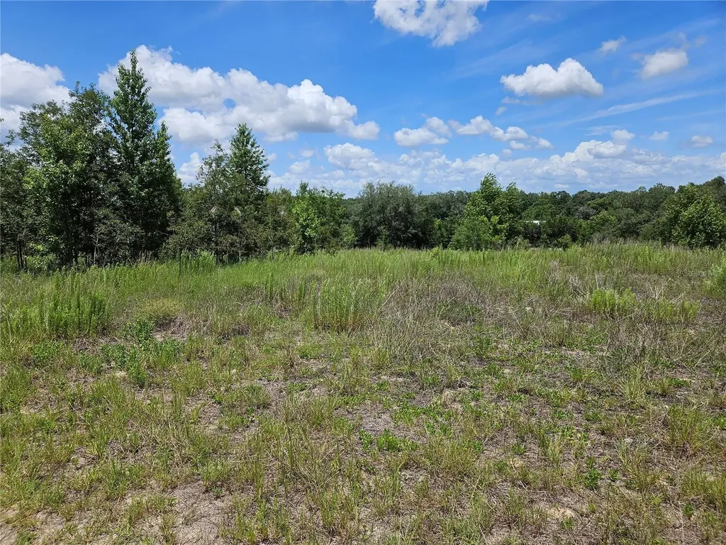 3814 W Rancetta Street Dunnellon FL 34433