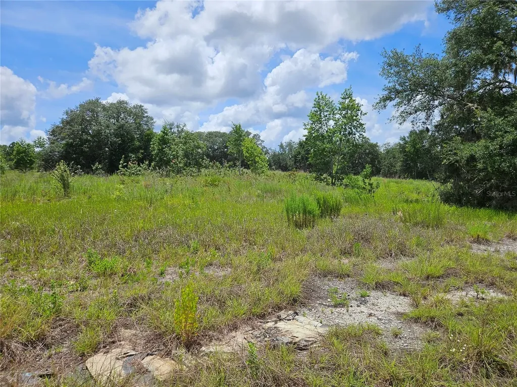 3814 W Rancetta Street Dunnellon FL 34433