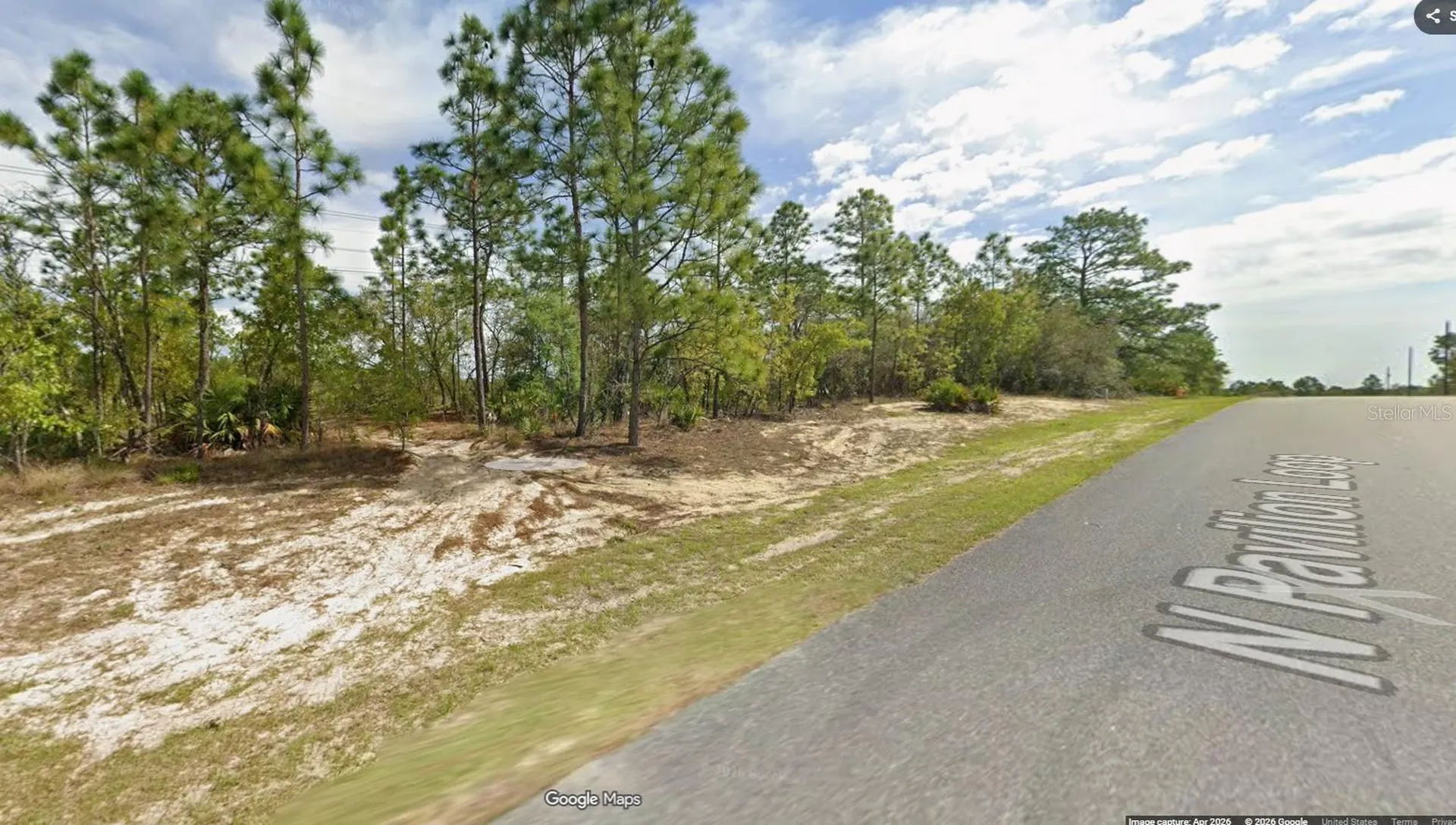 6770 N Pavilion Loop Citrus Springs FL 34433
