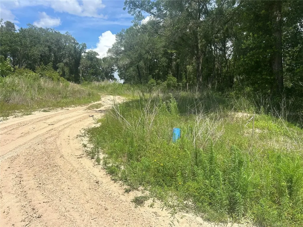 4392 E Jay Street Inverness FL 34453