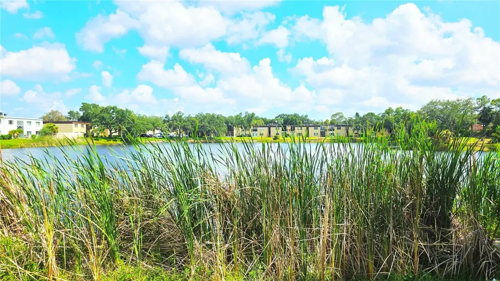 851 N Keene Road Clearwater FL 33755