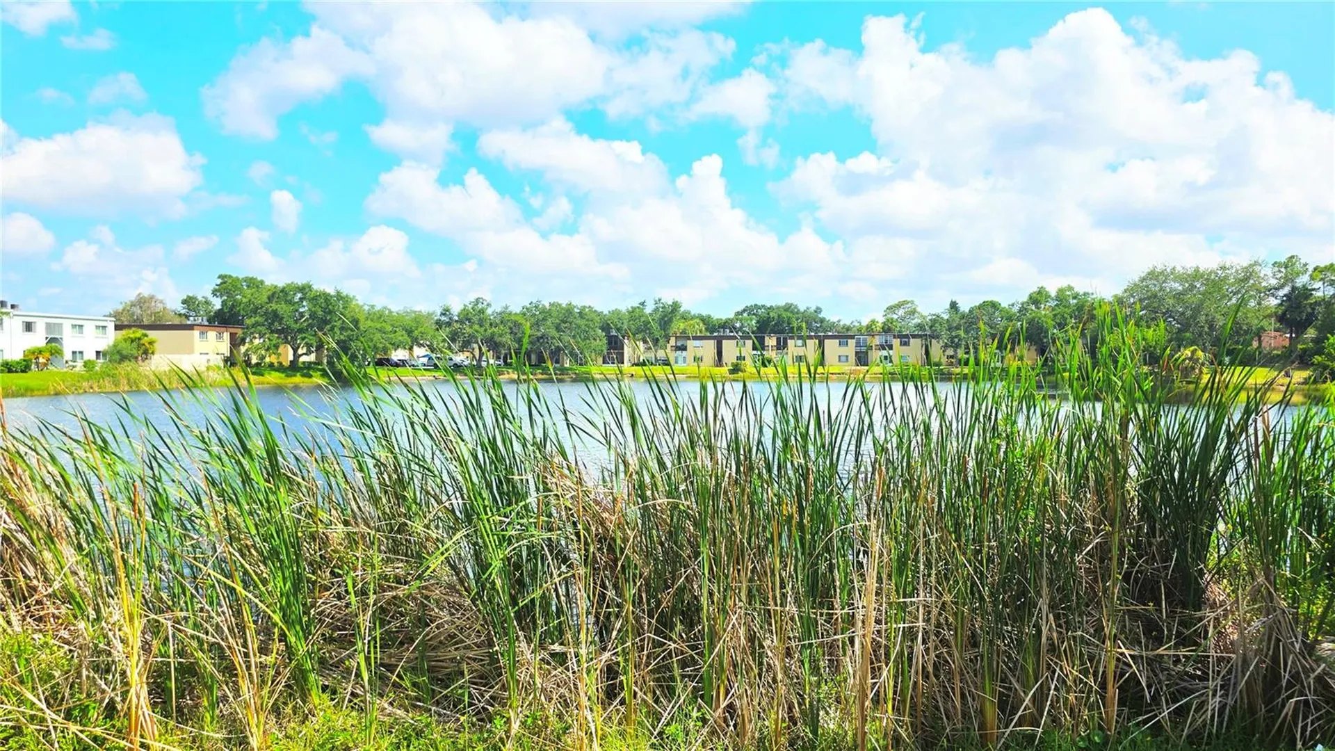 851 N Keene Road Clearwater FL 33755