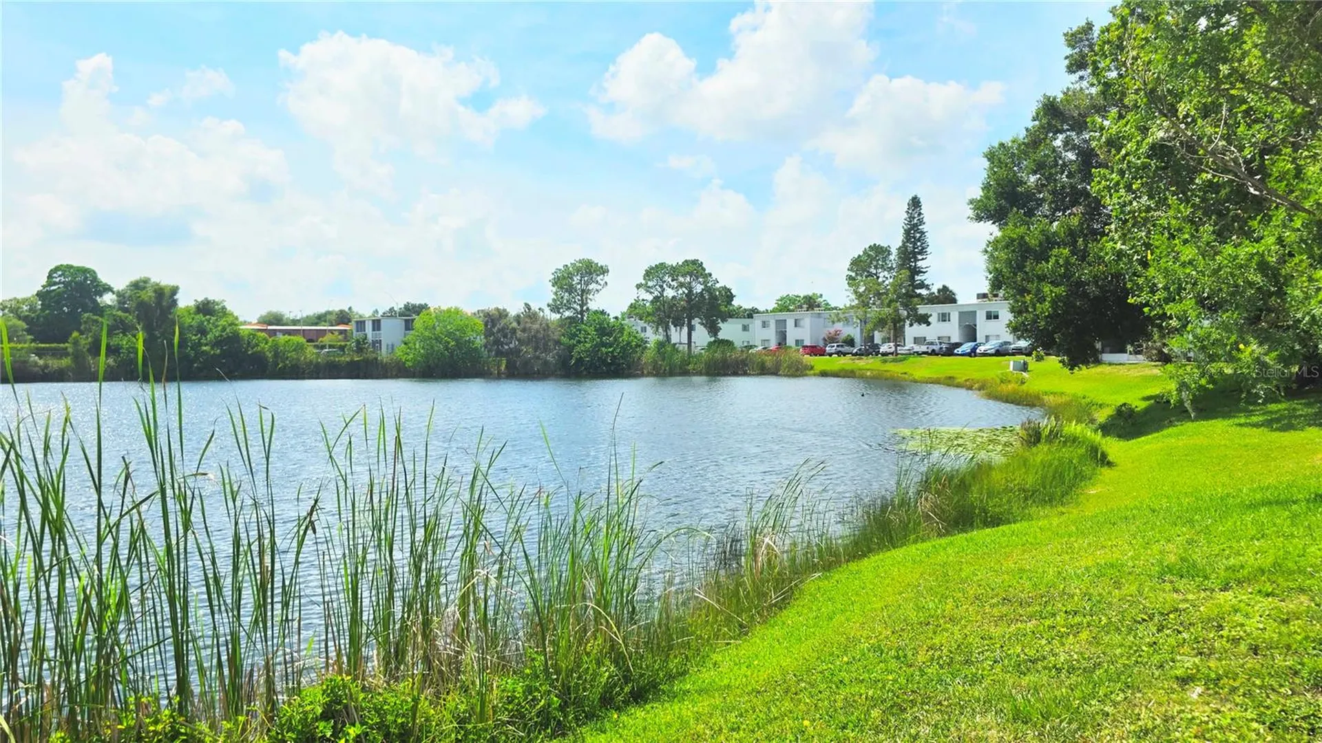 851 N Keene Road Clearwater FL 33755