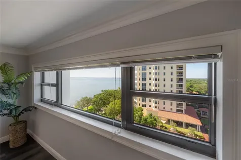 4141 Bayshore Boulevard Tampa FL 33611