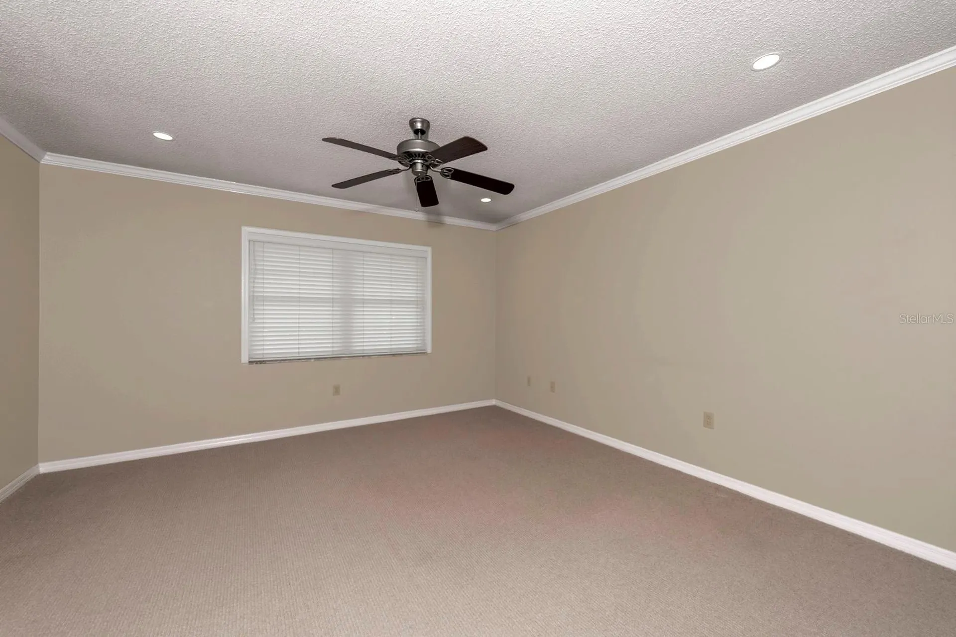 110 N Tremain Street Mount Dora FL 32757