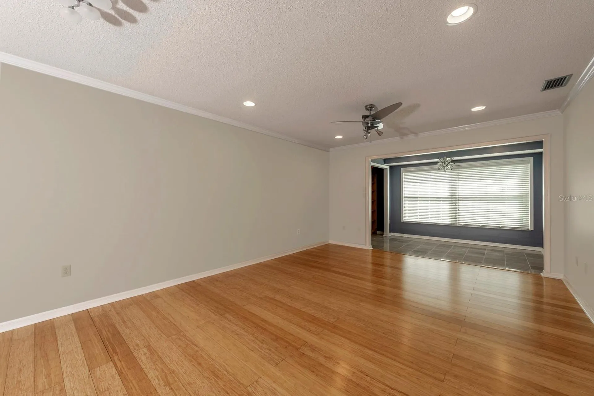 110 N Tremain Street Mount Dora FL 32757