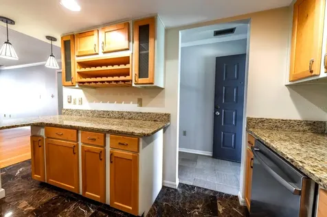 110 N Tremain Street Mount Dora FL 32757