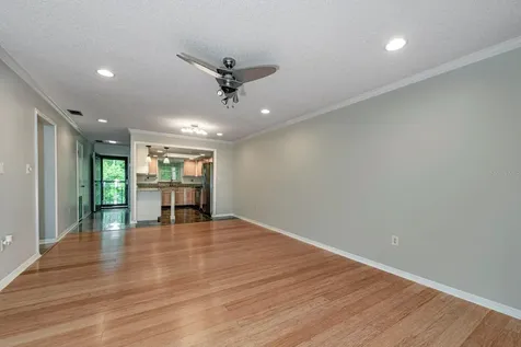 110 N Tremain Street Mount Dora FL 32757