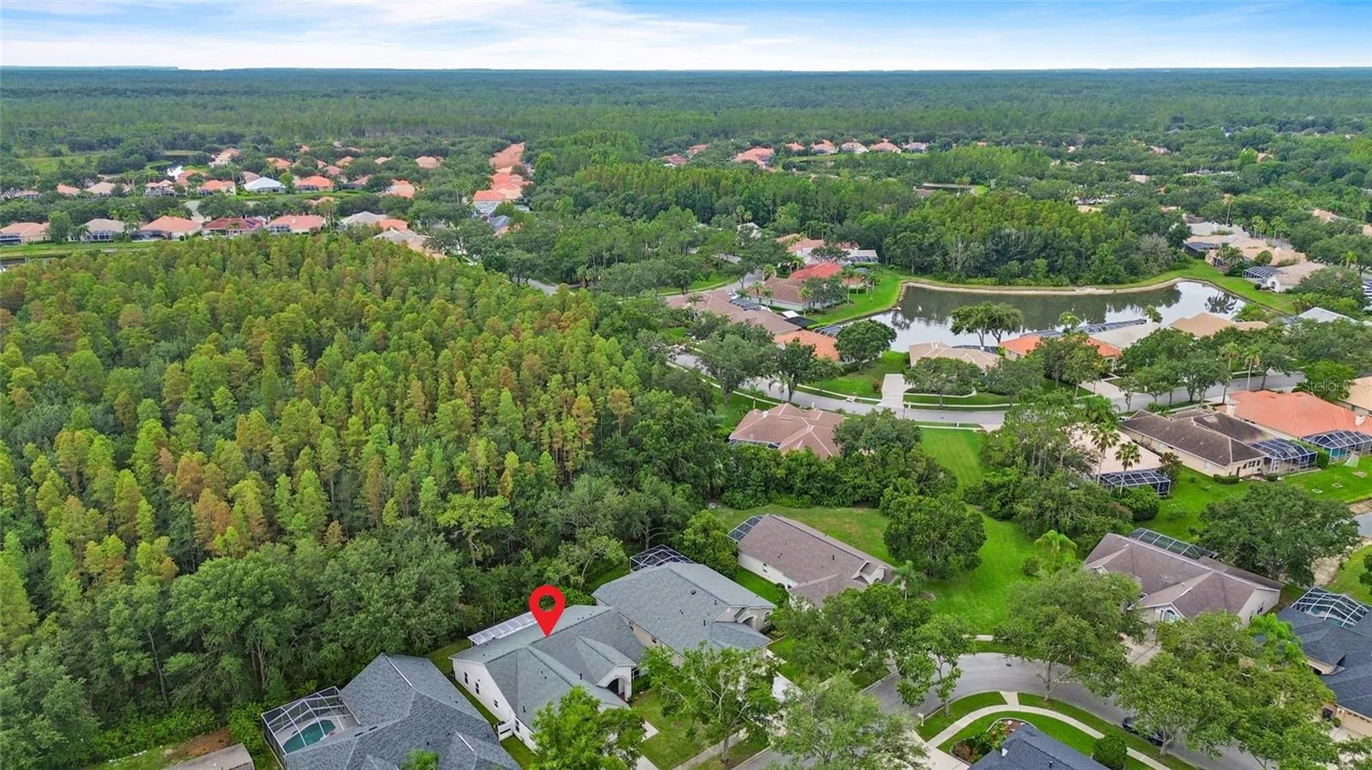 10217 Timberland Point Drive Tampa FL 33647