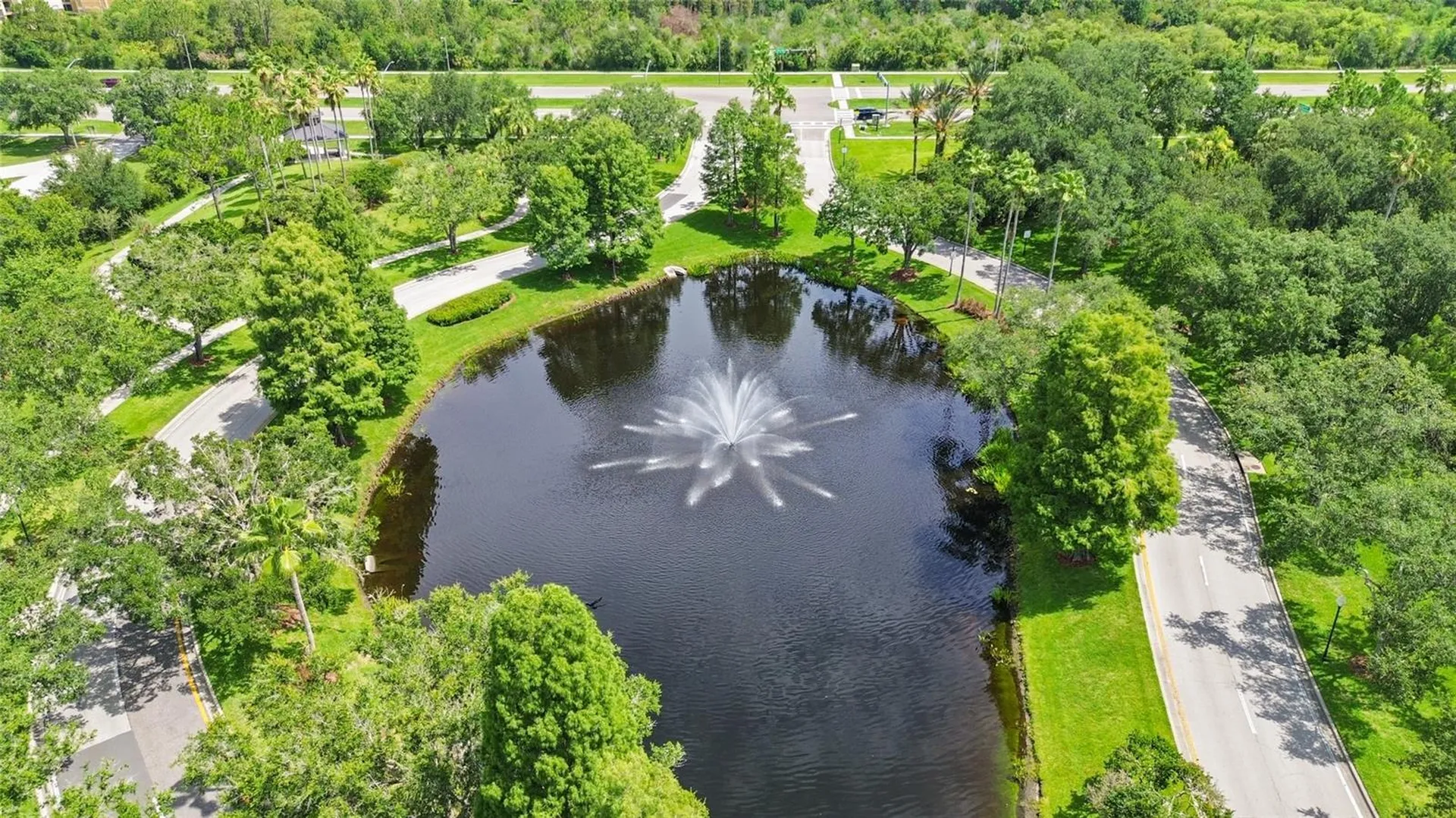 10217 Timberland Point Drive Tampa FL 33647