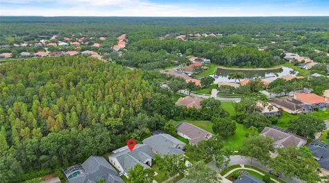 10217 Timberland Point Drive Tampa FL 33647