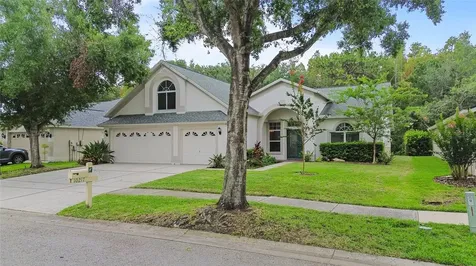 10217 Timberland Point Drive Tampa FL 33647