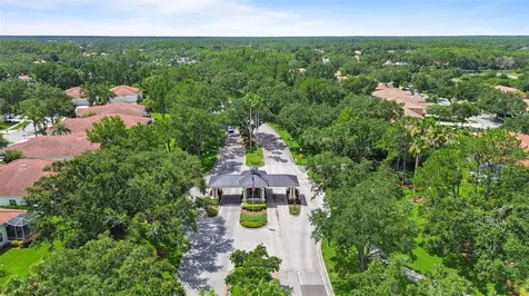 10217 Timberland Point Drive Tampa FL 33647