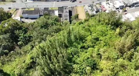 Ave Orquidea Urb Valencia Bayamon PR 00959