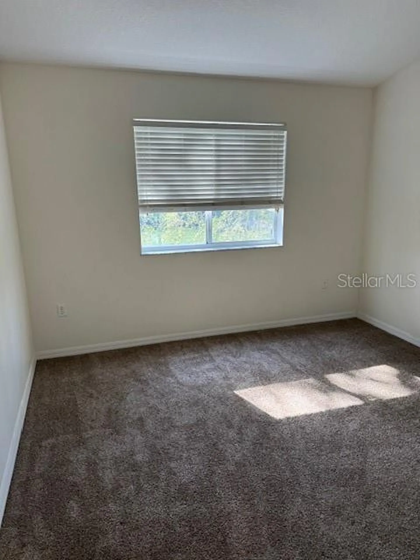 6740 Moonglow Drive Port Richey FL 34668