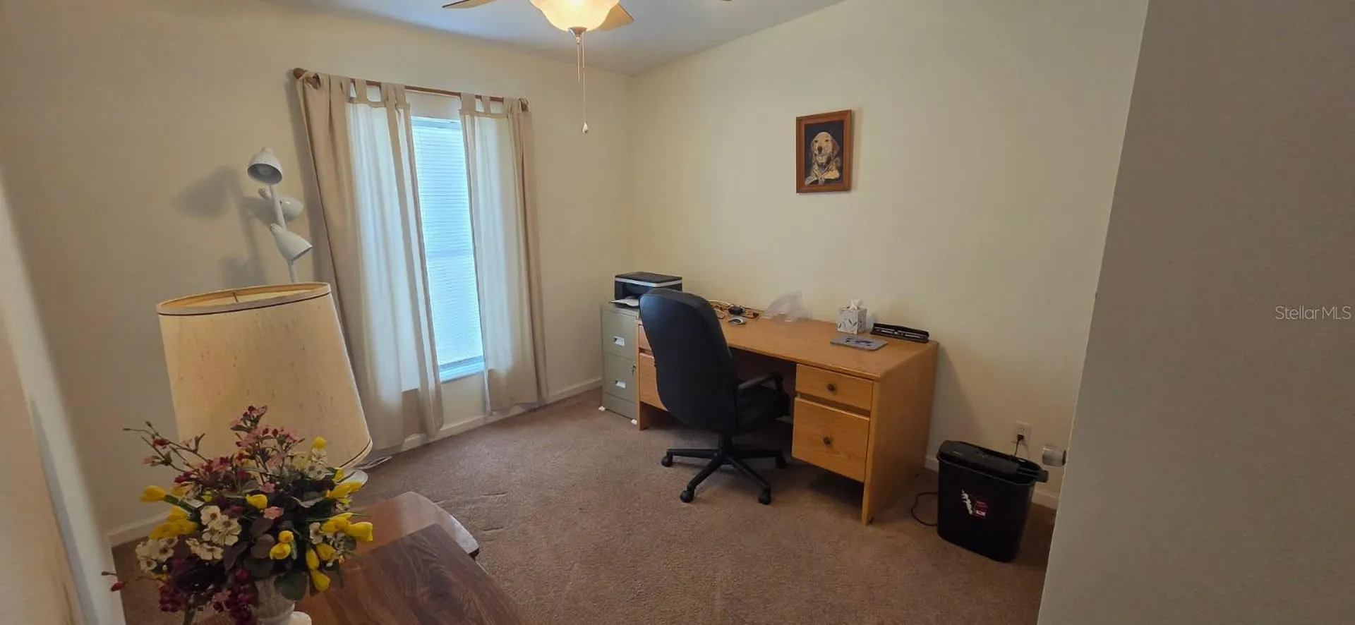 37437 Gill Avenue Zephyrhills FL 33541