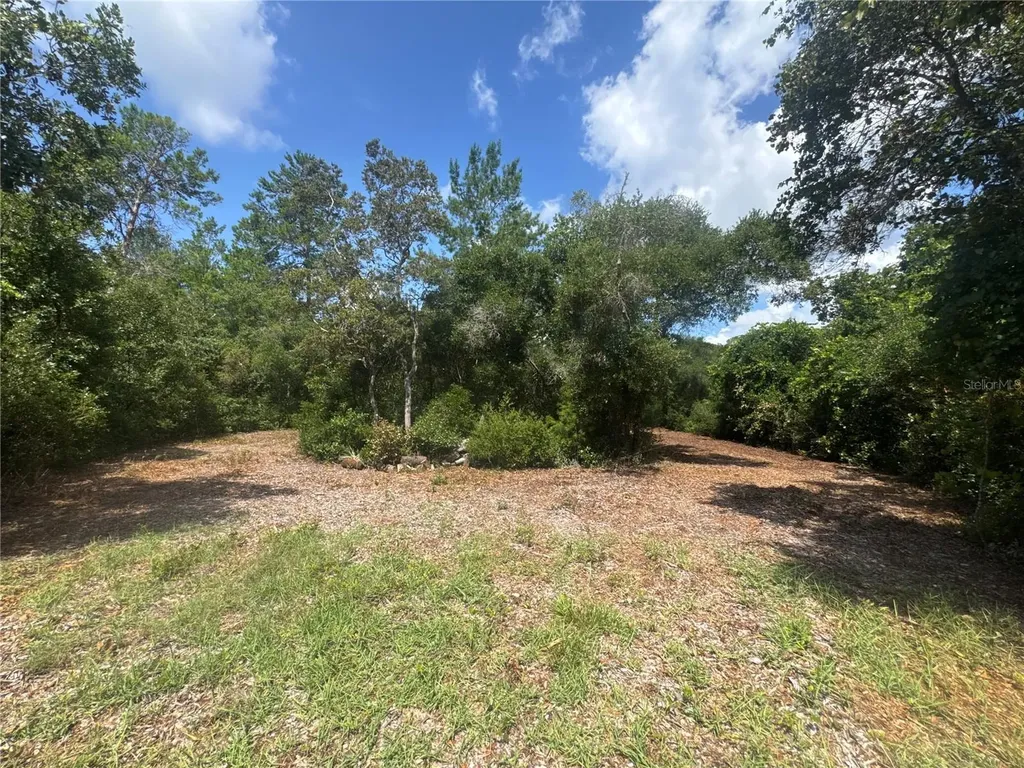 0 North Circle E Paisley FL 32767
