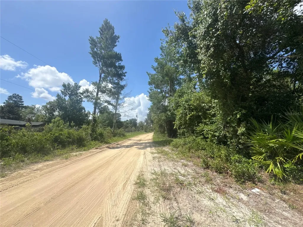 0 North Circle E Paisley FL 32767