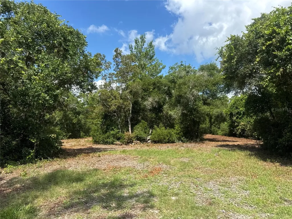 0 North Circle E Paisley FL 32767