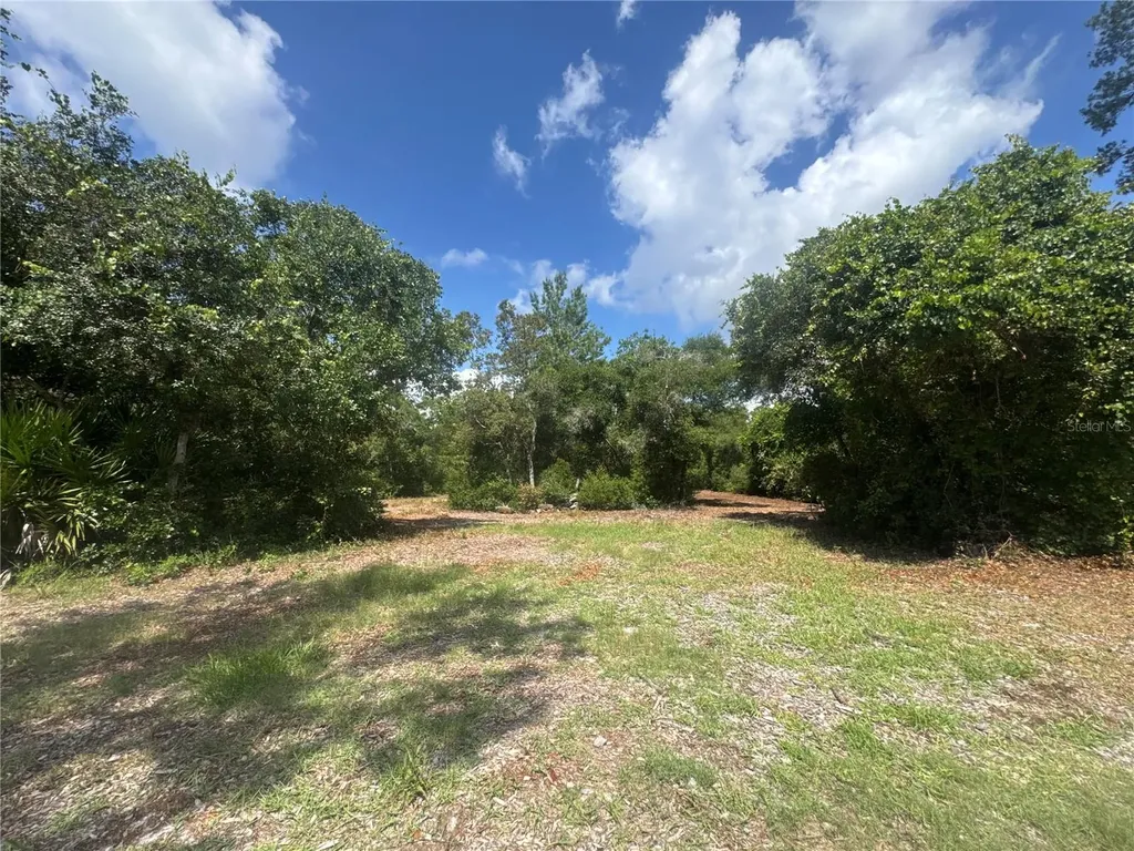 0 North Circle E Paisley FL 32767