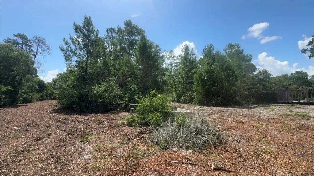 0 North Circle E Paisley FL 32767