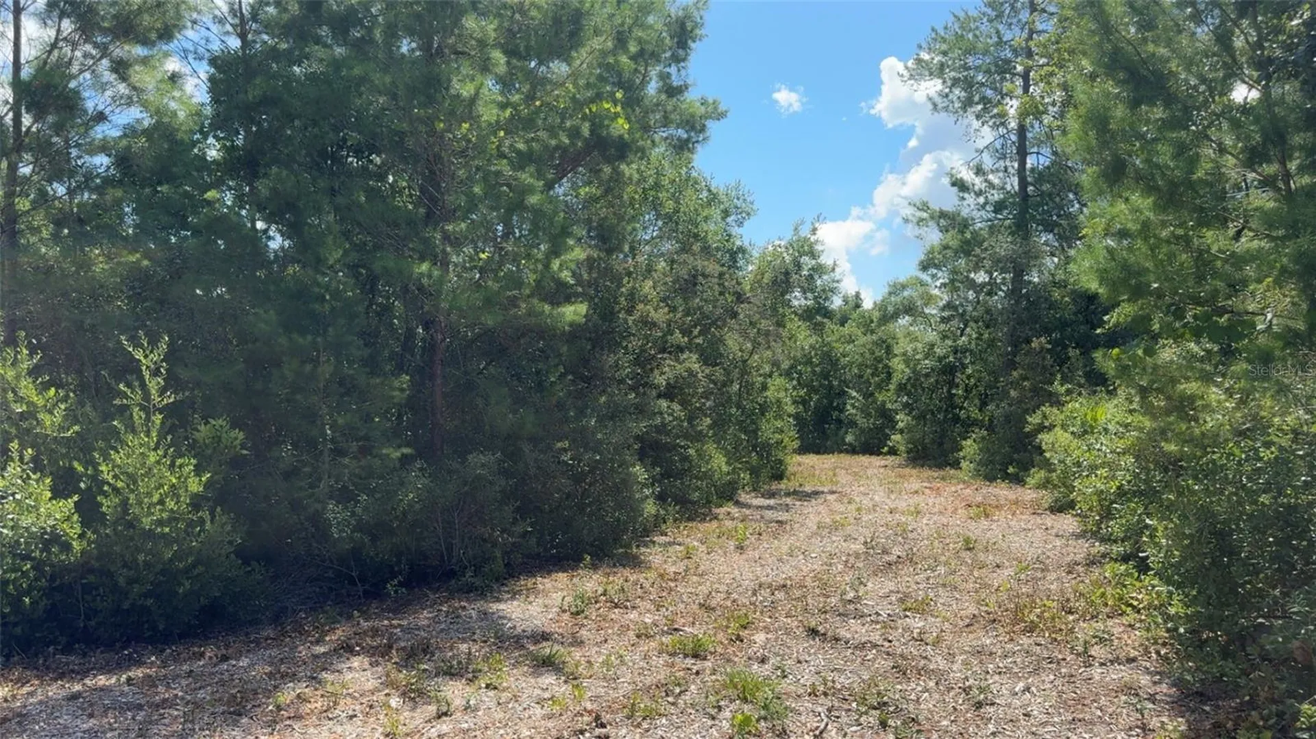 0 North Circle E Paisley FL 32767