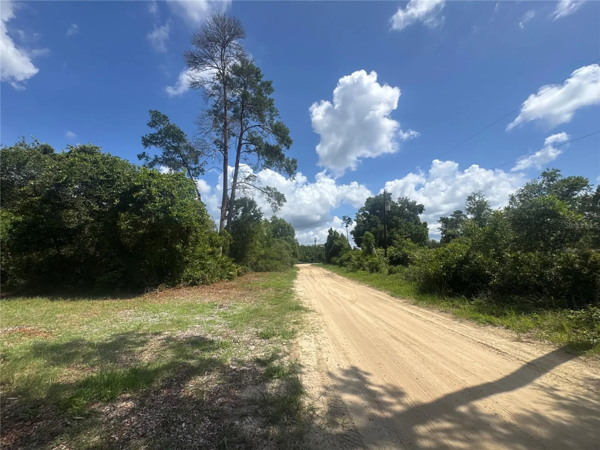 0 North Circle E Paisley FL 32767