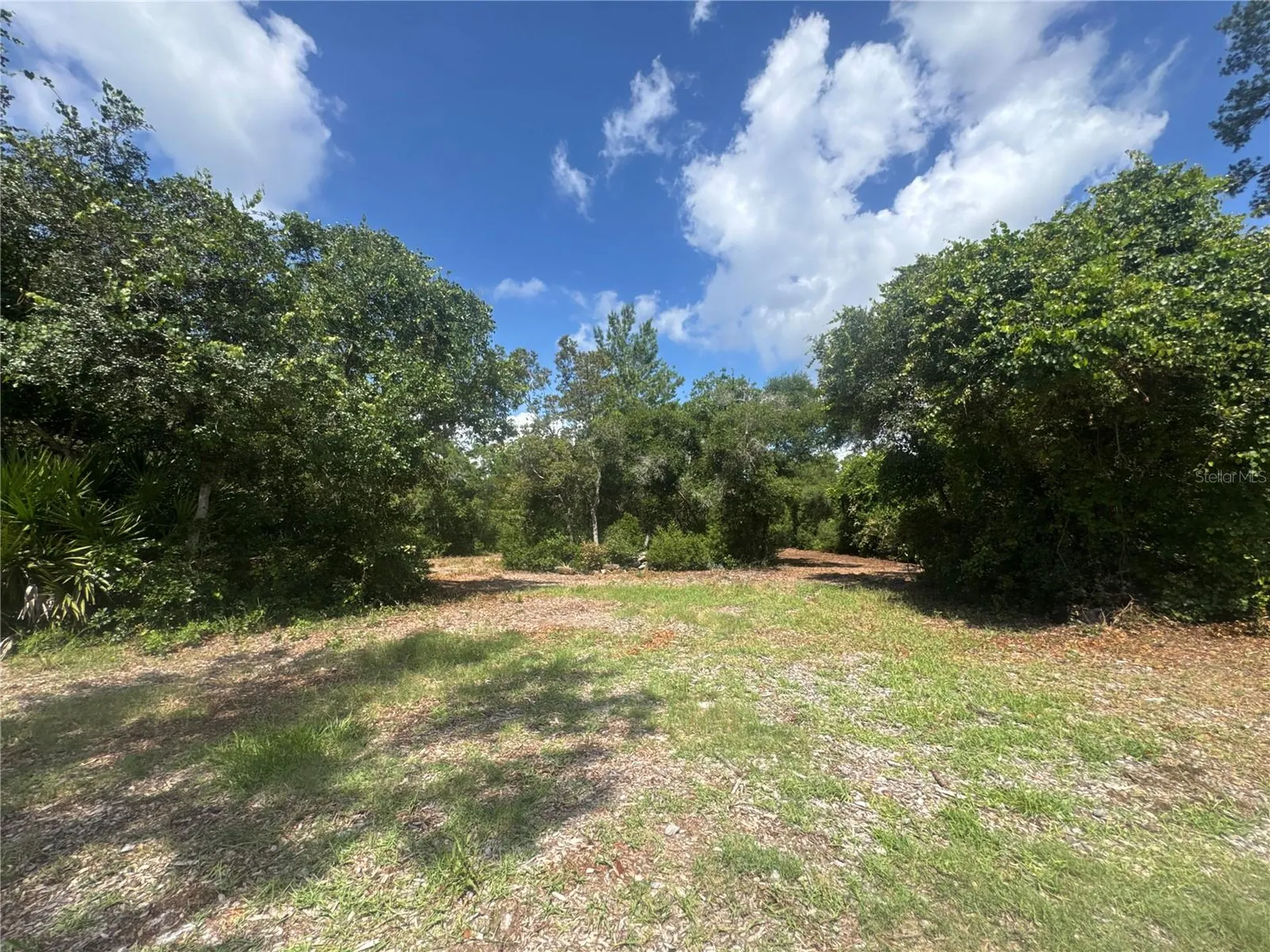 0 North Circle E Paisley FL 32767