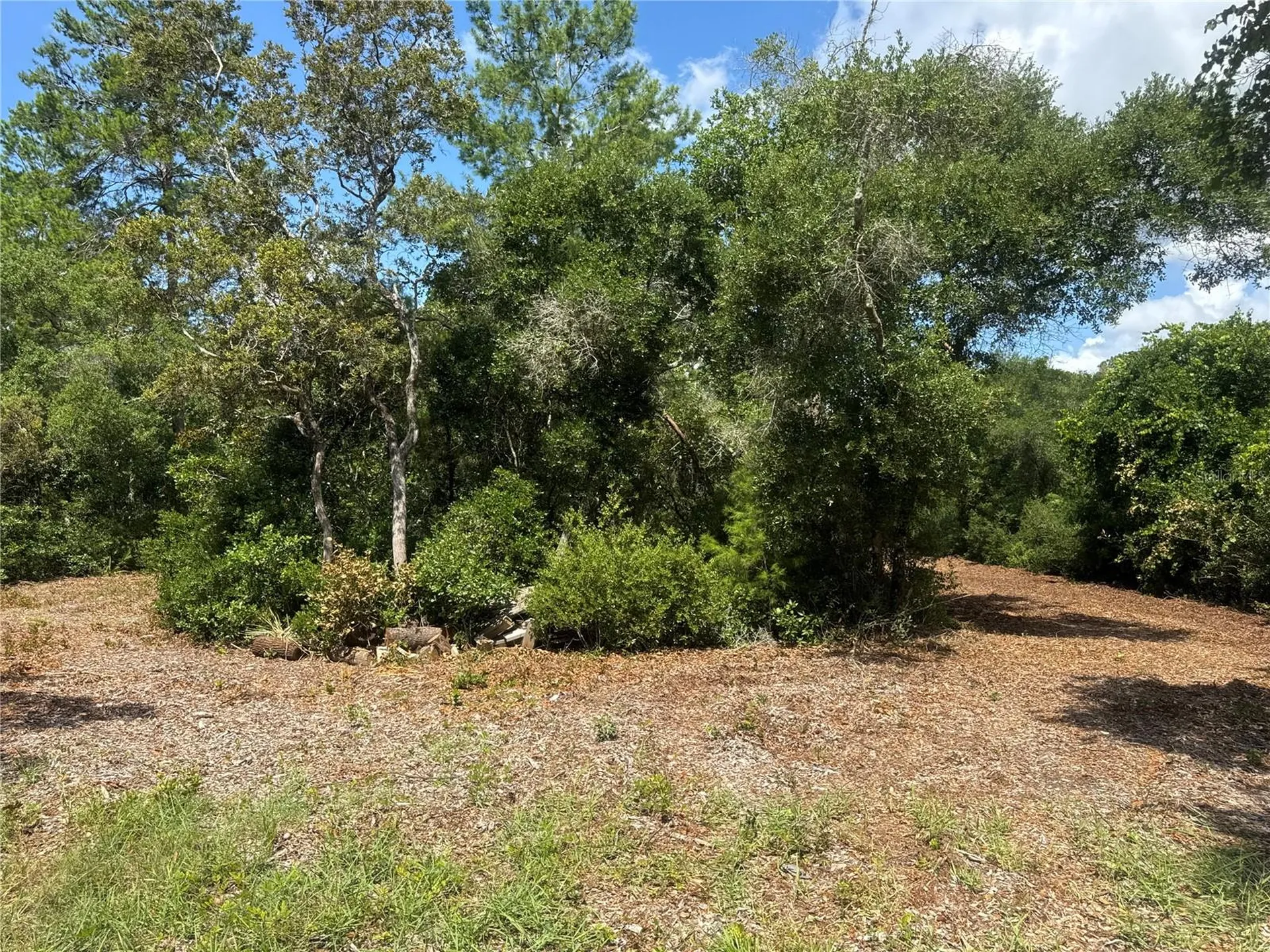 0 North Circle E Paisley FL 32767