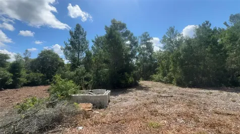 0 North Circle E Paisley FL 32767