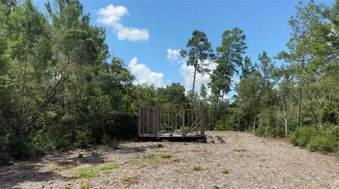 0 North Circle E Paisley FL 32767