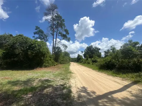 0 North Circle E Paisley FL 32767