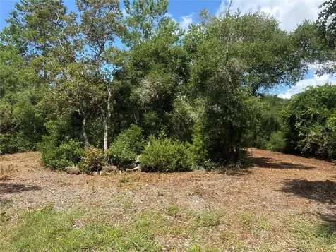0 North Circle E Paisley FL 32767