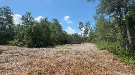 0 North Circle E Paisley FL 32767