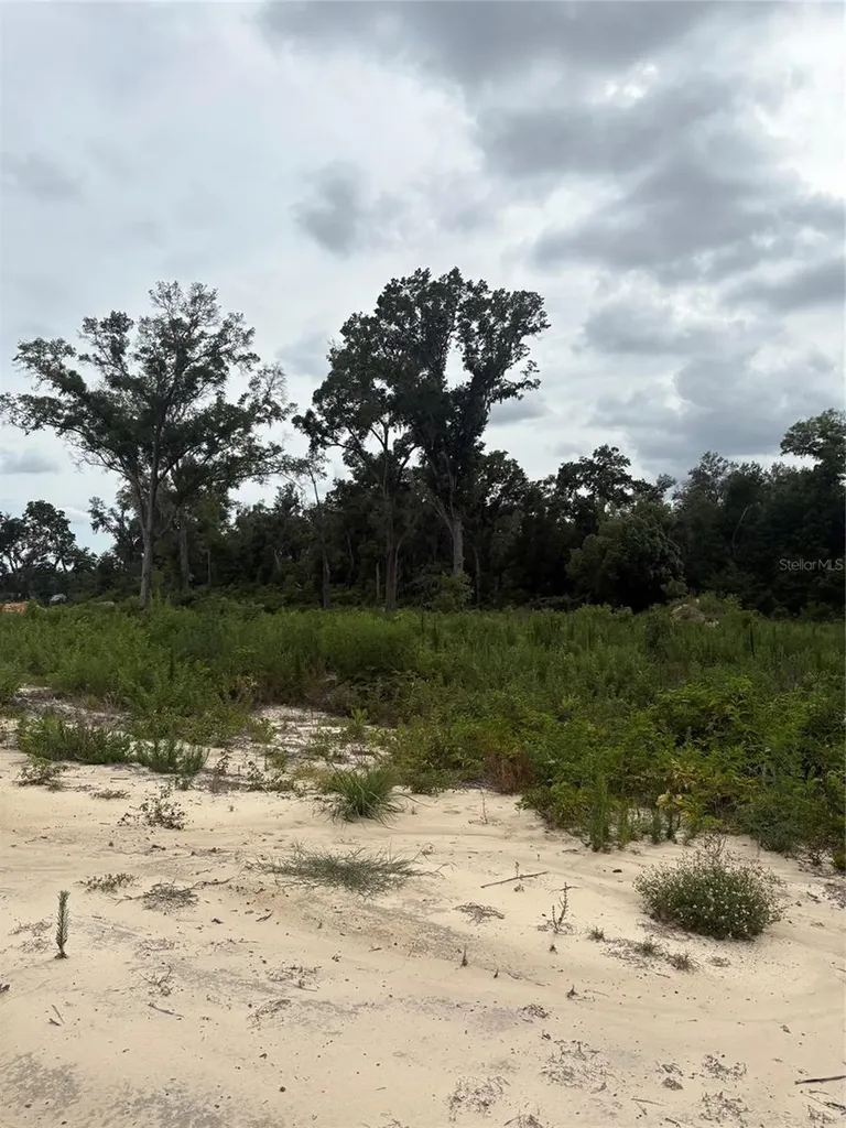 7200 E Highway 25 Belleview FL 34420