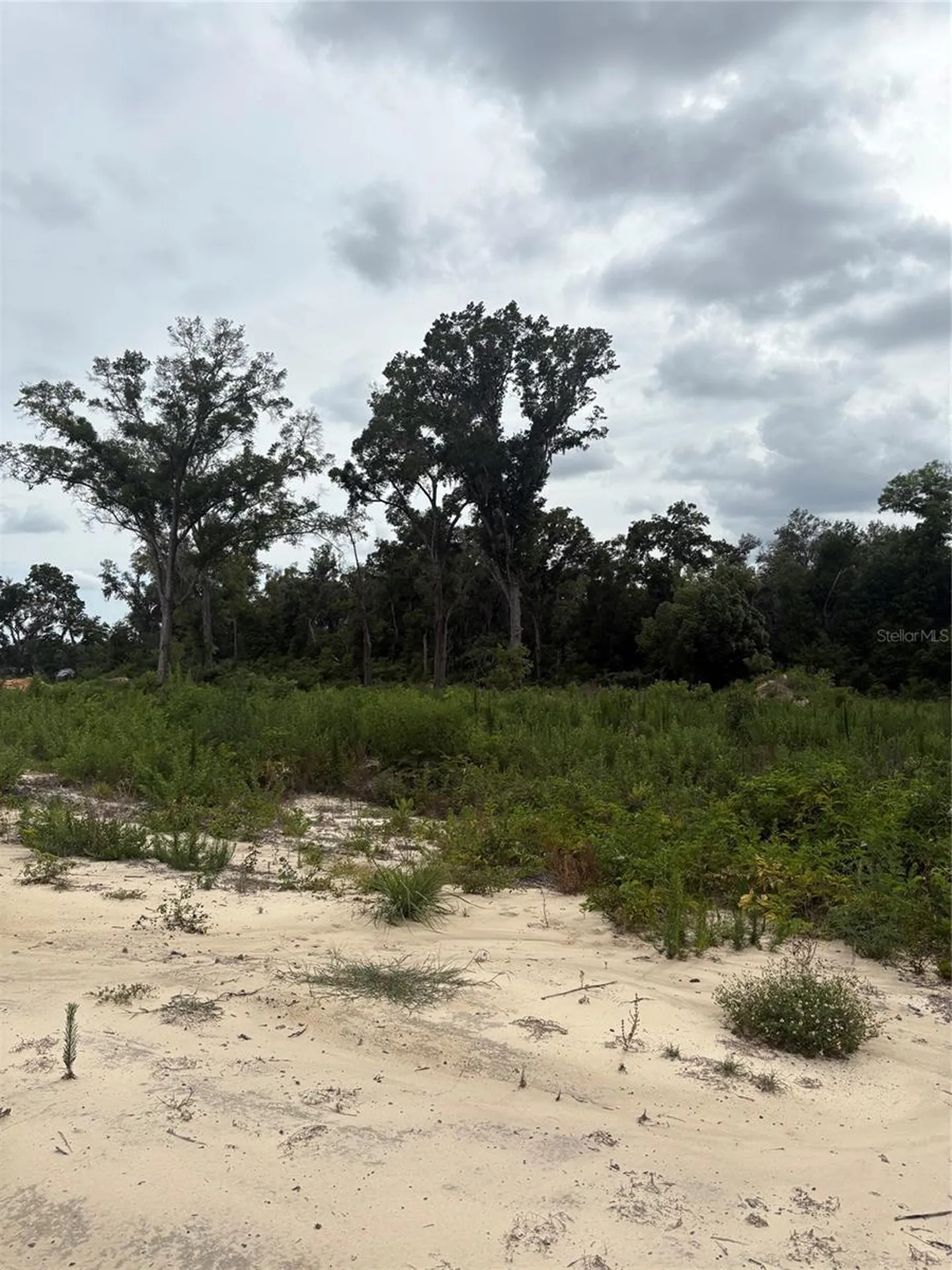 7200 E Highway 25 Belleview FL 34420