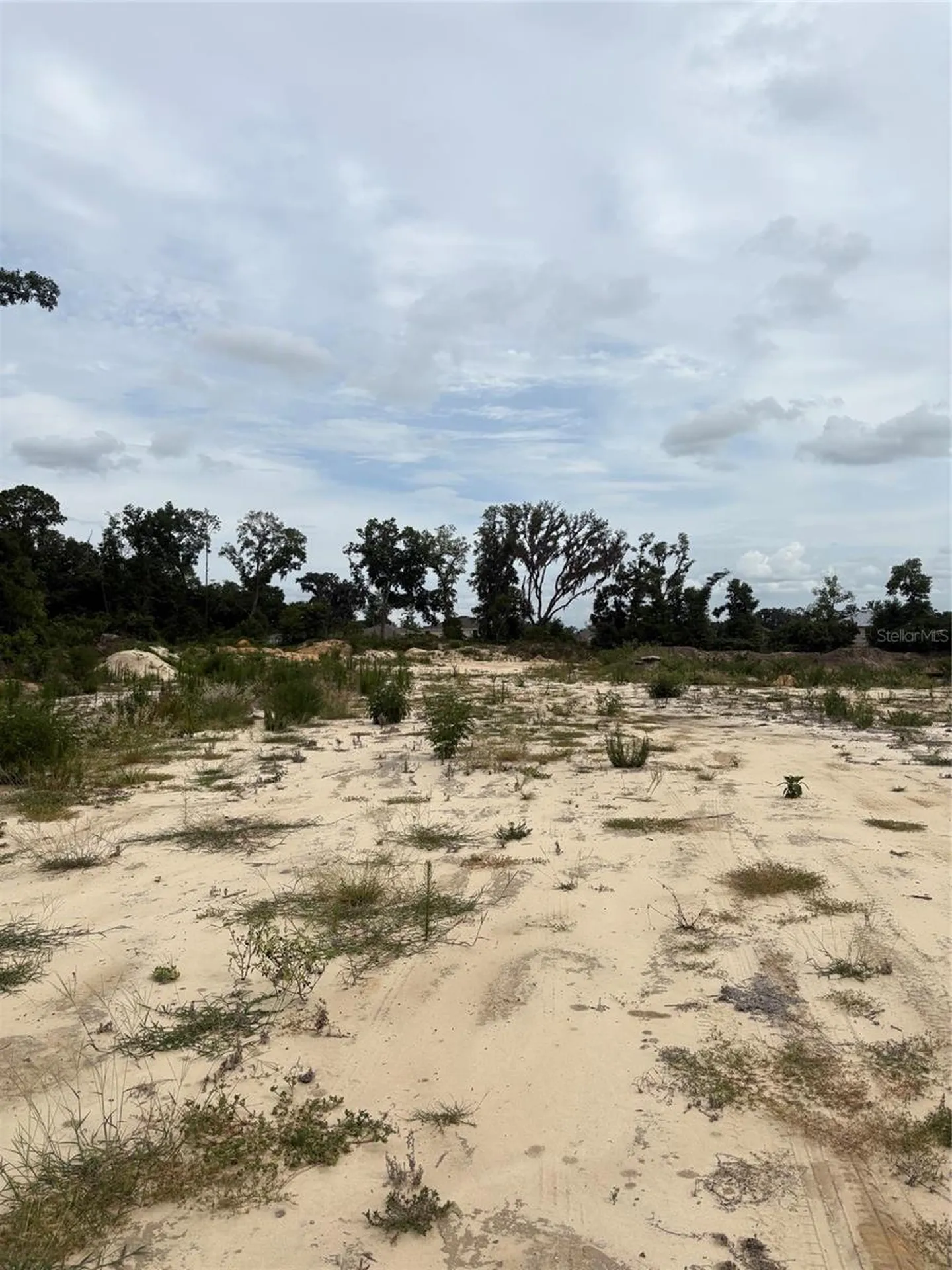 7200 E Highway 25 Belleview FL 34420