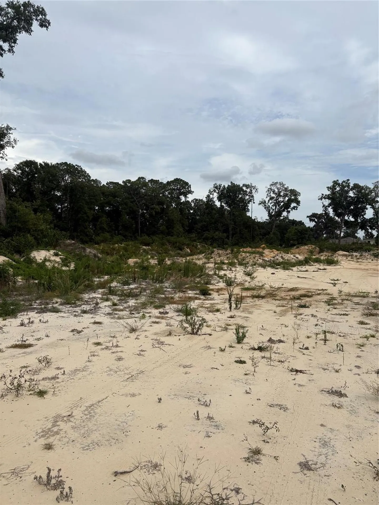 7200 E Highway 25 Belleview FL 34420
