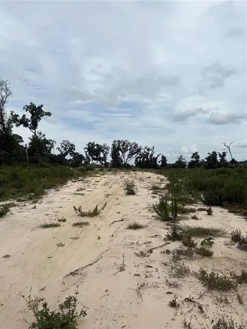 7200 E Highway 25 Belleview FL 34420