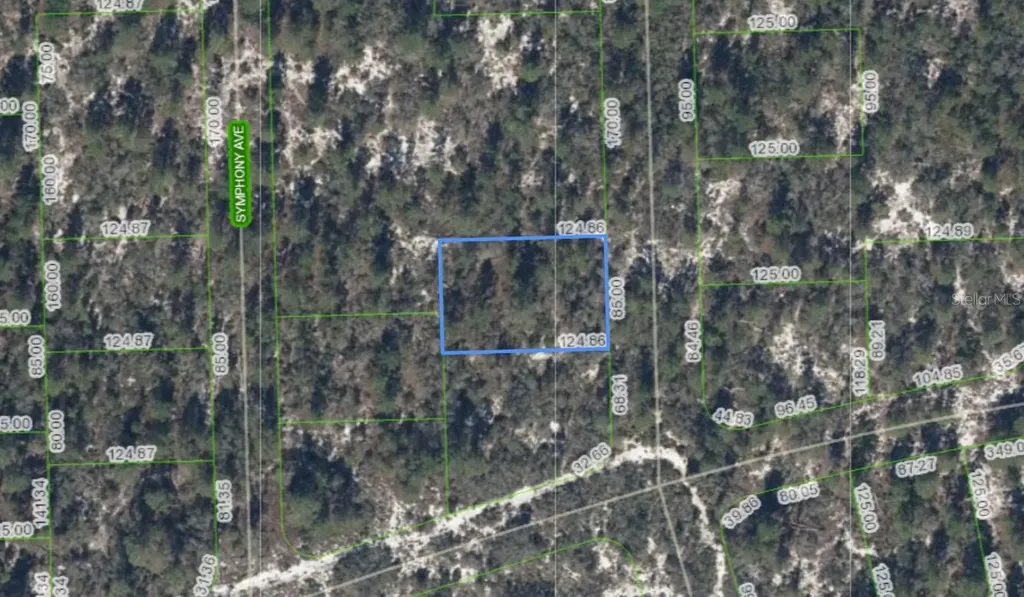 591 Blue Velvet Drive Lake Placid FL 33852