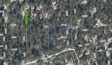 591 Blue Velvet Drive Lake Placid FL 33852