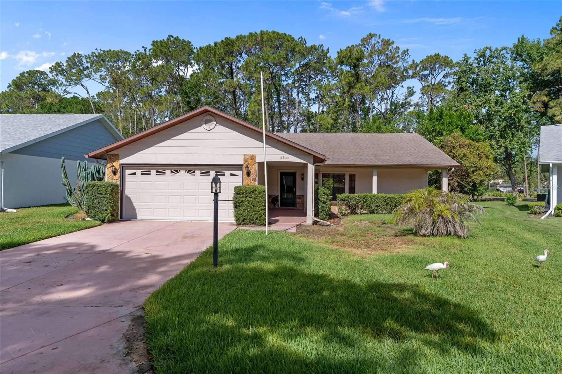 6300 Darien Way Spring Hill FL 34606