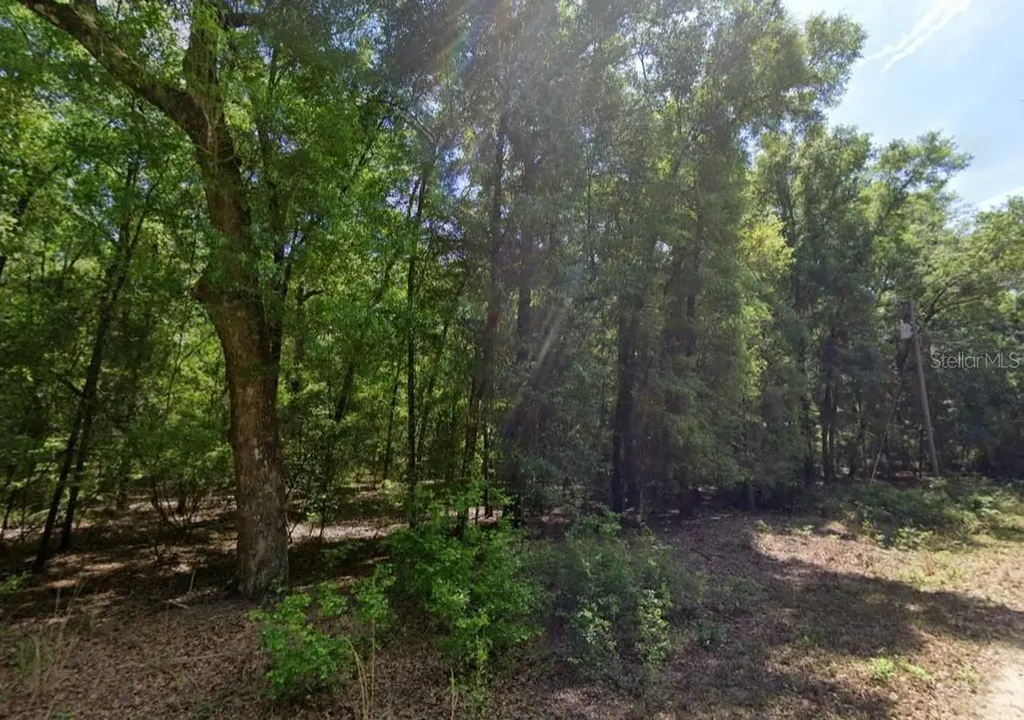 NE Willow Bend Terrace Lee FL 32059