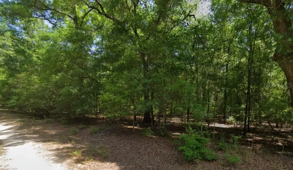 NE Willow Bend Terrace Lee FL 32059