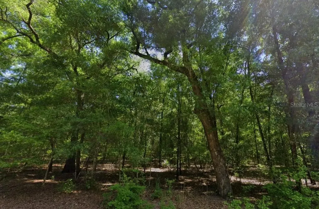NE Willow Bend Terrace Lee FL 32059