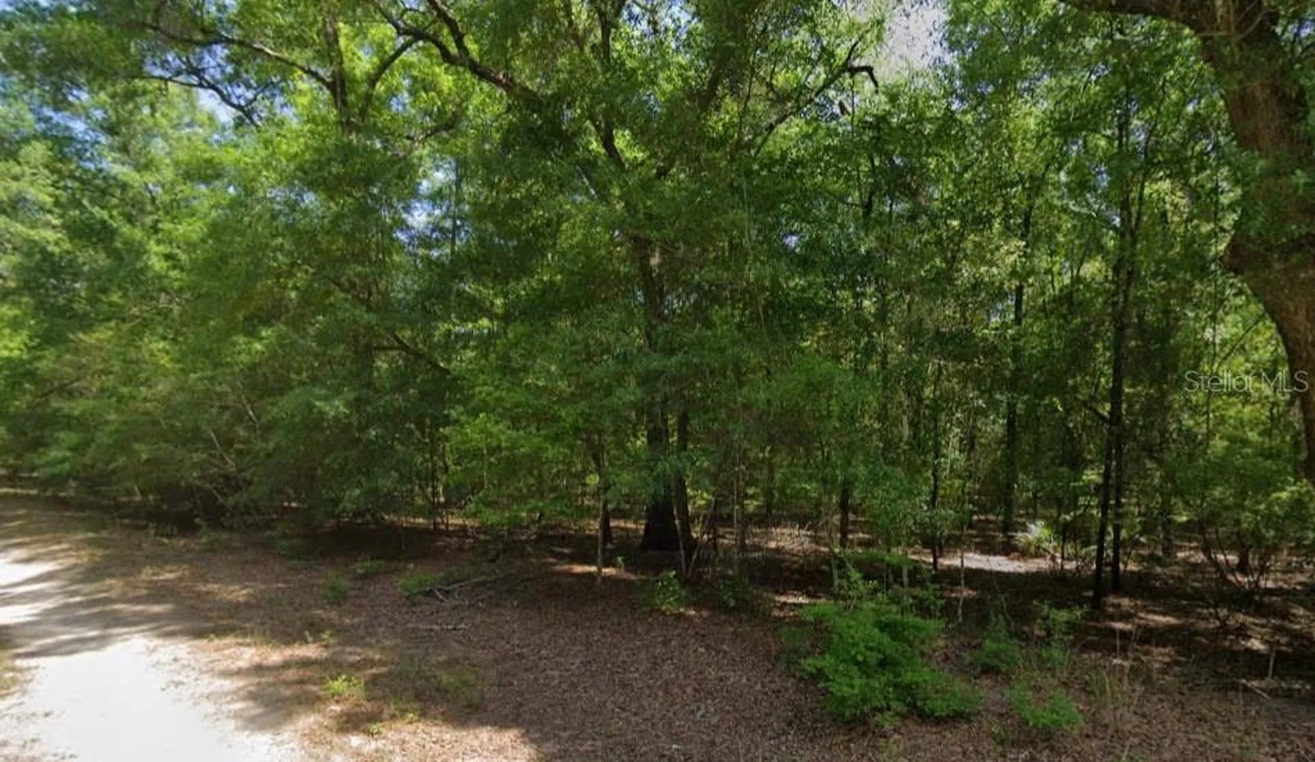 NE Willow Bend Terrace Lee FL 32059