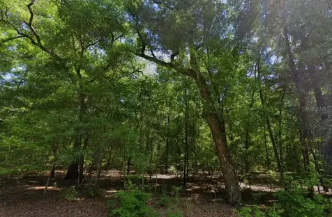 NE Willow Bend Terrace Lee FL 32059