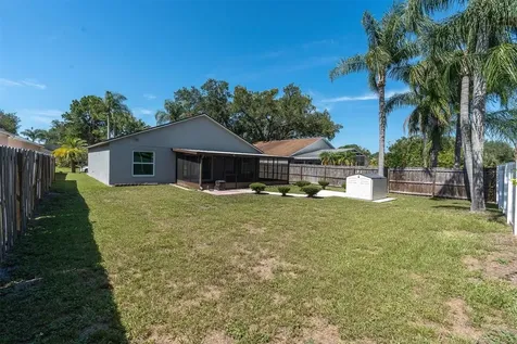 11113 Bloomington Drive Tampa FL 33635