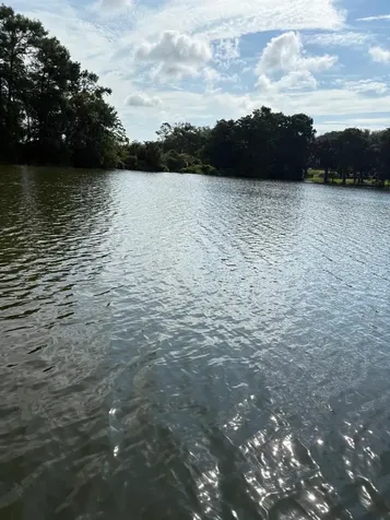 1911 Miracle Lane Jacksonville FL 32225