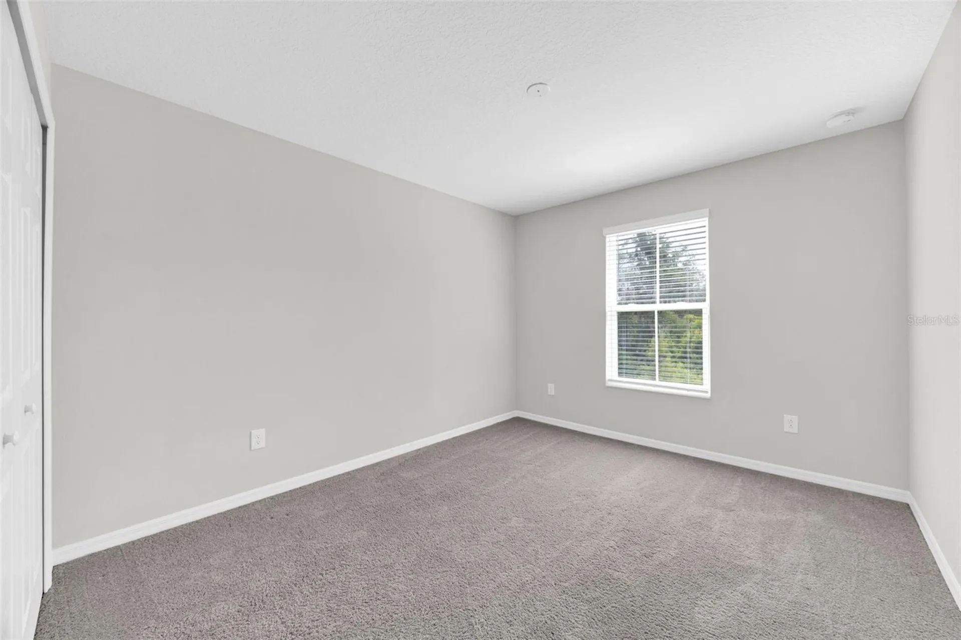 6321 Tillandsia Place Tampa FL 33610